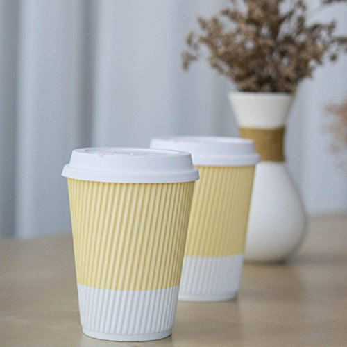 Disposable Coffee Cups With Lids (80 Count)