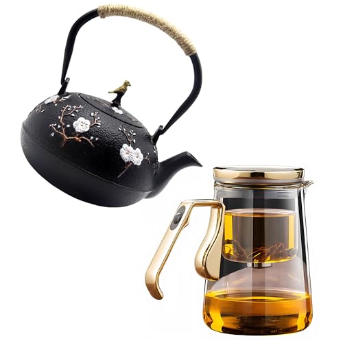 Magnetic Glass Teapot Set with 40.6oz Cast Iron Kettle for Stovetop