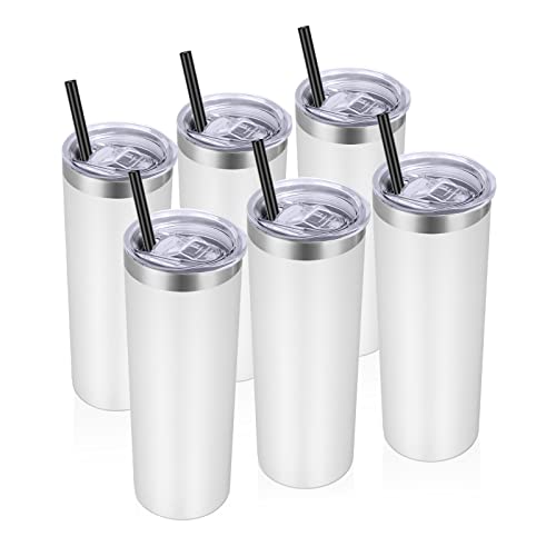 Stainless Steel Tumblers Bulk 6 Pack (6 Count)
