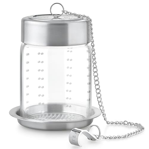 Elegant Glass Tea Infuser
