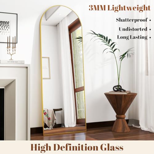 18 x 58 inch Arched Full Length Mirror