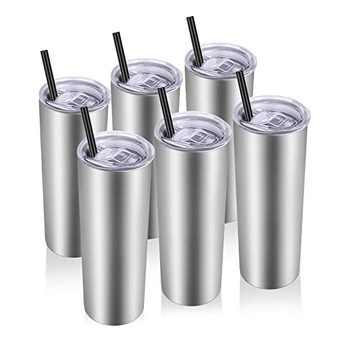 Stainless Steel Tumblers Bulk 6 Pack (6 Count)
