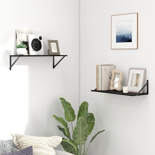 Deep Floating Shelves for Wall (2 Count)