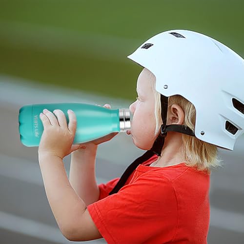 Insulated Water Bottle (2 Count)