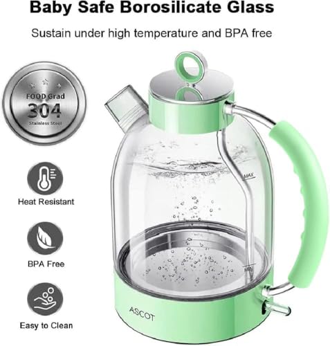 Electric Kettle