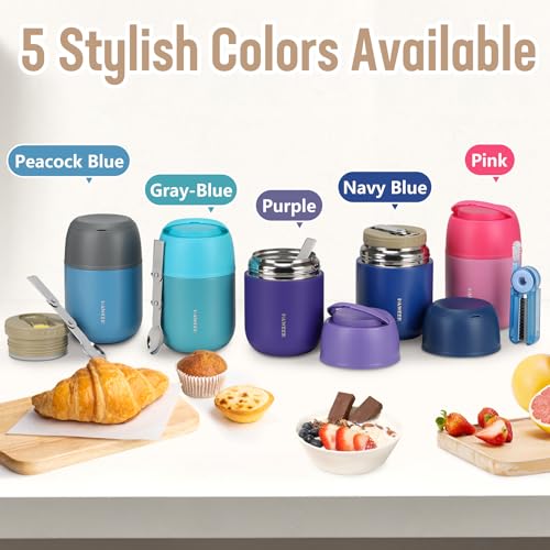 17oz Insulated Food Jar with Spoon
