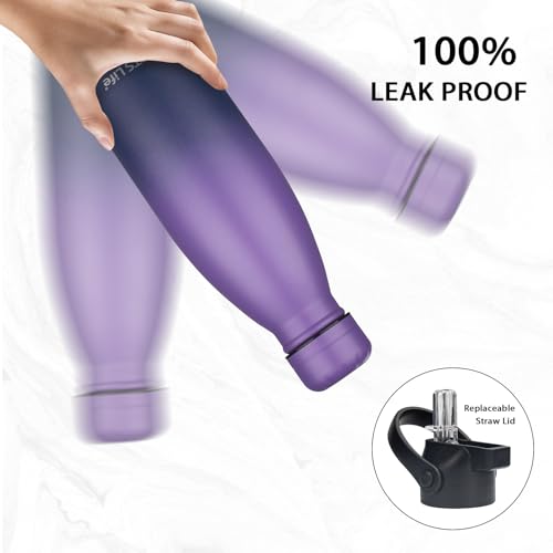Insulated Water Bottle (2 Count)