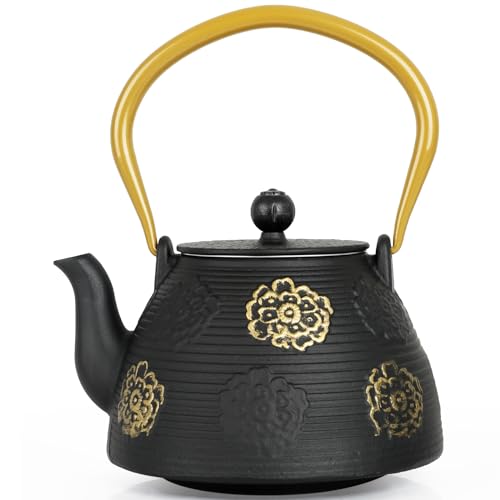Cast Iron Teapot with Stainless Infuser Enameled Interior 40oz