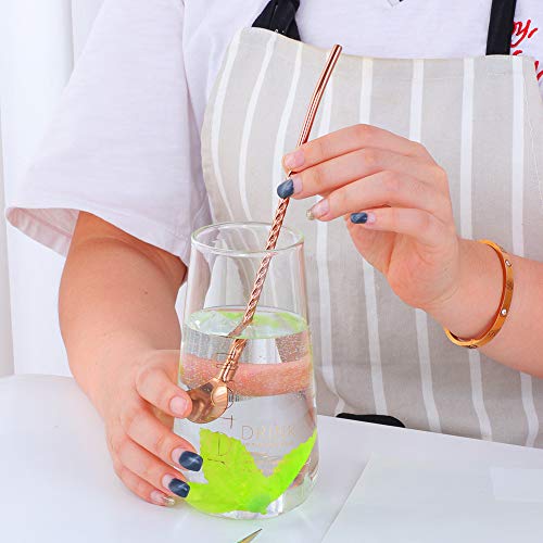 10 pcs Metal Straw Spoons with 2 Cleaning Brushes