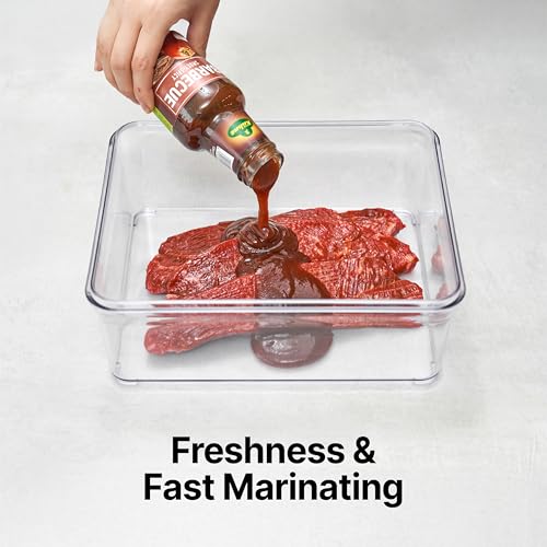 Premium Airtight Food Storage Containers