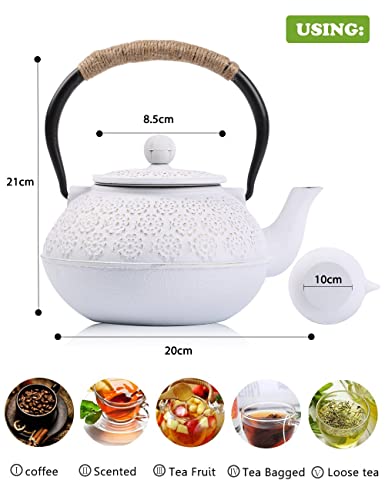 Cast Iron Tea Pot with Infusers for Loose Tea