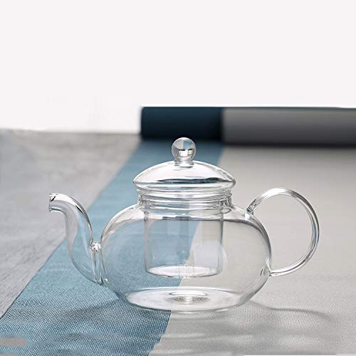 Glass Teapot with Removable Clear Infuser
