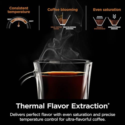 Hot & Iced XL Coffee Maker with Rapid Cold Brew
