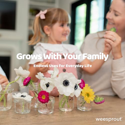 Glass Baby Food Storage Jars w (12 Count)