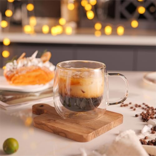 10oz Double Walled Glass Coffee Mugs (2 Count)