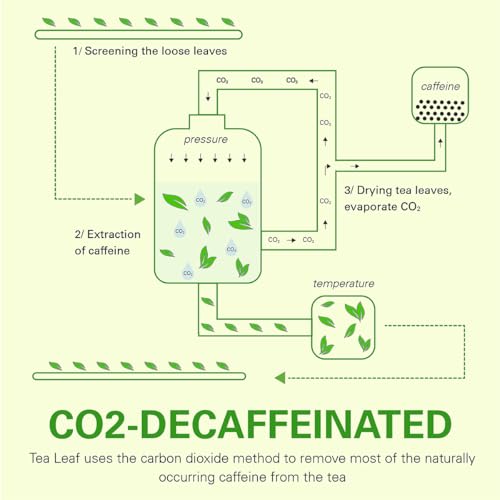 Lemon Ginger Decaf Green Tea Bags 50 Counts
