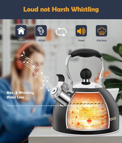 Tea Kettle 2 Quart Stainless Steel Whistling Tea Kettle