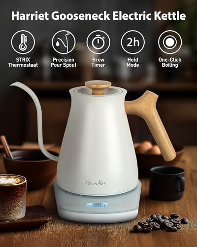 Gooseneck Electric Kettle