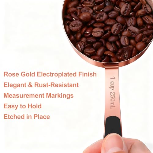 Measuring Cups and Spoons Set (10 Count)