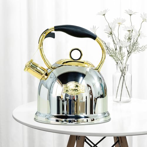 Tea Kettle for Stovetop