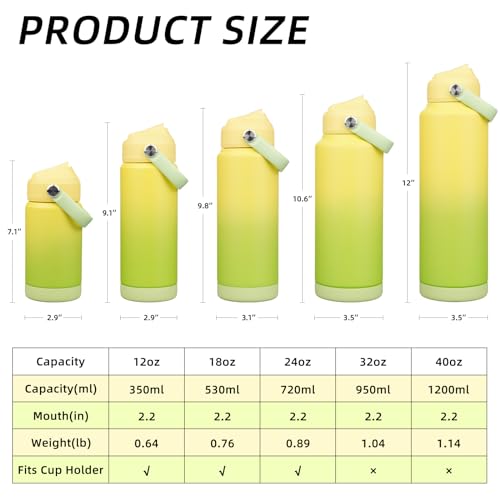 18oz Insulated Water Bottle