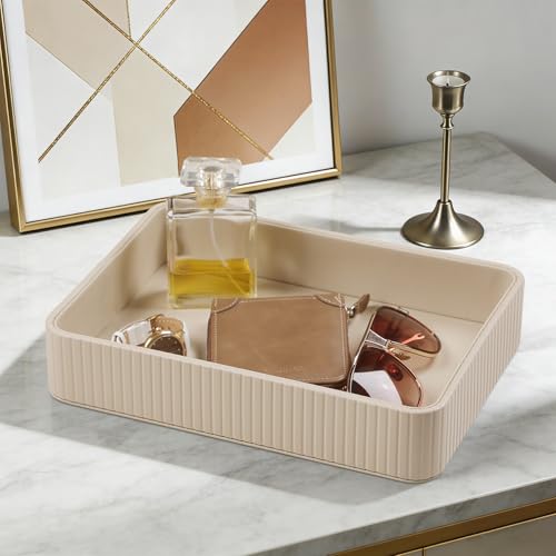 Desk Organizer Tray