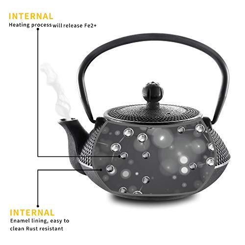 Cast Iron Teapot Set with Infuser