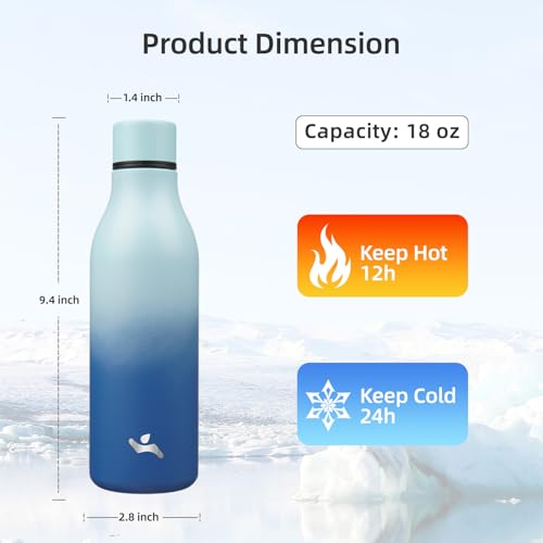 18 oz Insulated Stainless Steel Metal Water Bottle with Strap