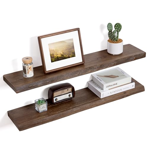Floating Shelves for Wall Decor (2 Shelves)