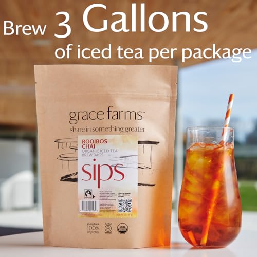 ROOIBOS CHAI ORGANIC ICED TEA