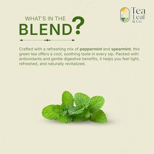 Mint Green Tea (50 Count)
