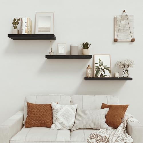 Deep Floating Shelves for Wall 24 inches Long Set of 2 (2 Count)