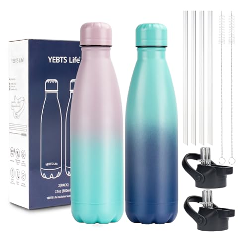 Insulated Water Bottle (2 Count)