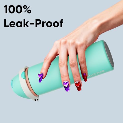 Insulated Water Bottle with Straw