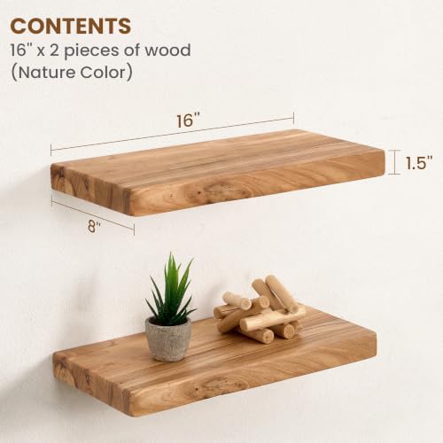 Floating Shelves for Wall