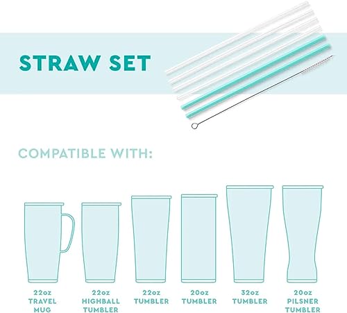 Reusable Straw Set with Cleaning Brush (6 Count)