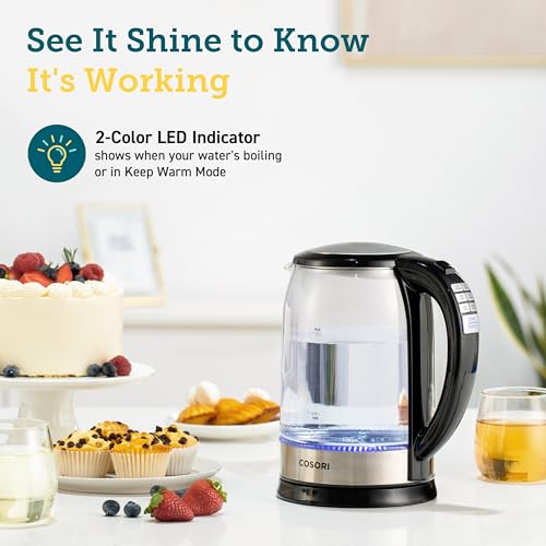 Electric Kettle with Temperature Control