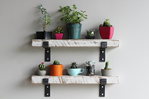 Accent Shelves (2 Count)