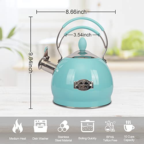 Whistling Tea Kettle Stainless Steel Teapot