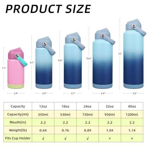 18oz Insulated Water Bottle