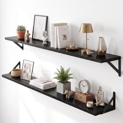 Wall Mounted Floating Shelves Set of 2 (2 Count)