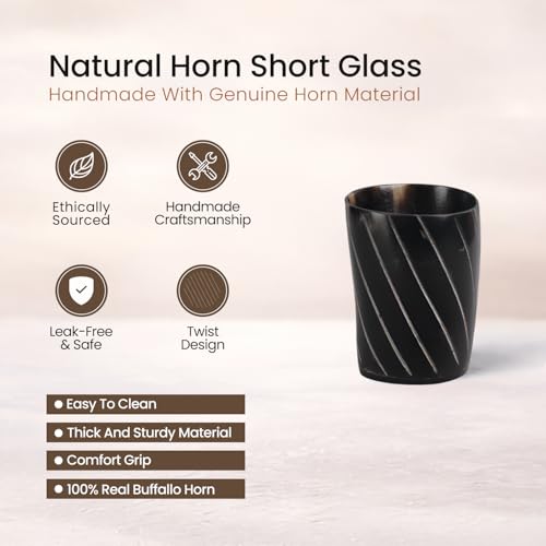 Viking Horn Shot Glasses Set of 12 (12 Count)