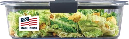 Brilliance Large Food Storage Container
