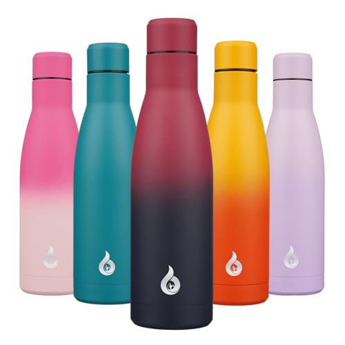 17 oz Insulated Thermal Metal Water Bottle
