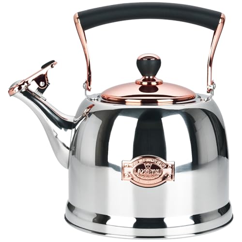 Tea Kettle Stainless Steel Teapot