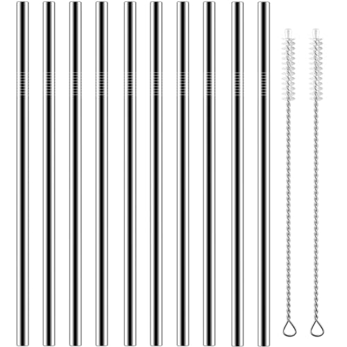 Set of 10 Stainless Steel Straws (10 Count)