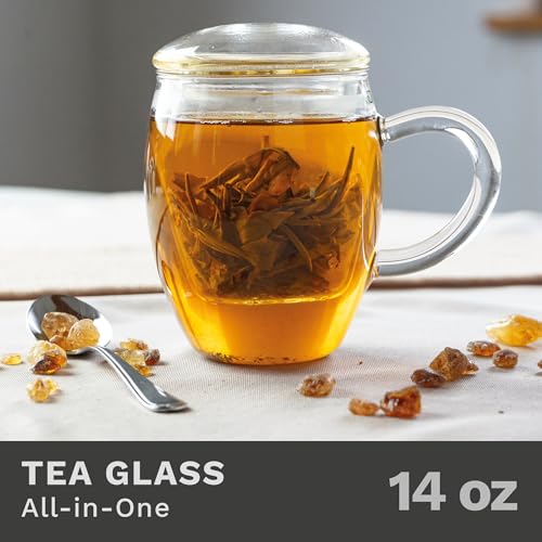 Tea Glass with Infuser and Lid 400ml
