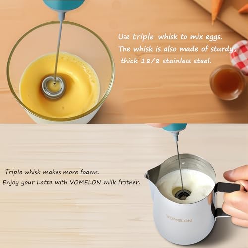 Milk Frother Handheld
