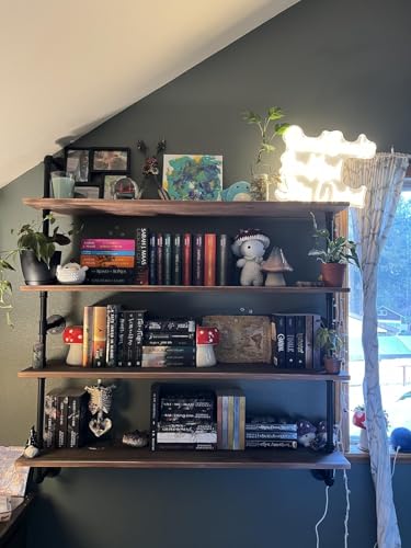 Floating Bookshelf Shelves Industrial Pipe Shelving Floating Pipe Shelf with Wood Planks 48 inch Industrial Wall Shelves Rustic Hanging Bookshelf Farmhouse Kitchen Shelving (4 Count)