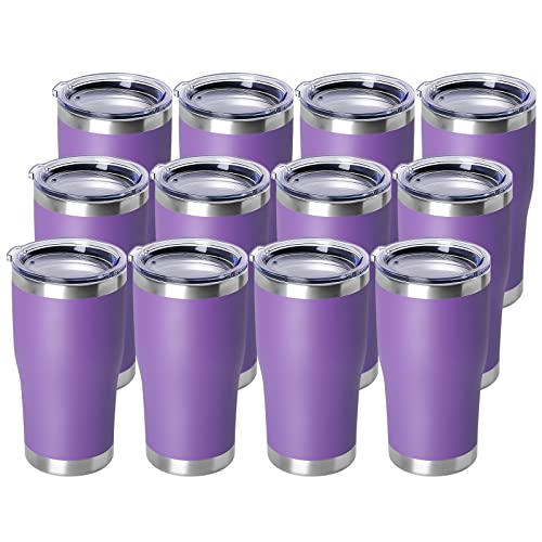 20oz Tumbler with Lid Stainless Steel Tumblers Bulk (12 Count)